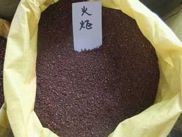 火炬種